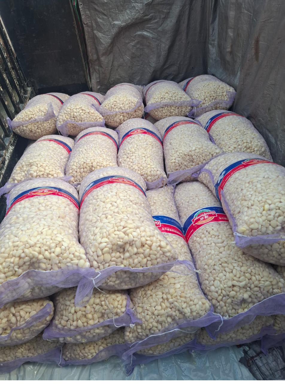 Peeled garlic in mesh bags on delivery truck — Ali Wasim Farm Lahore
