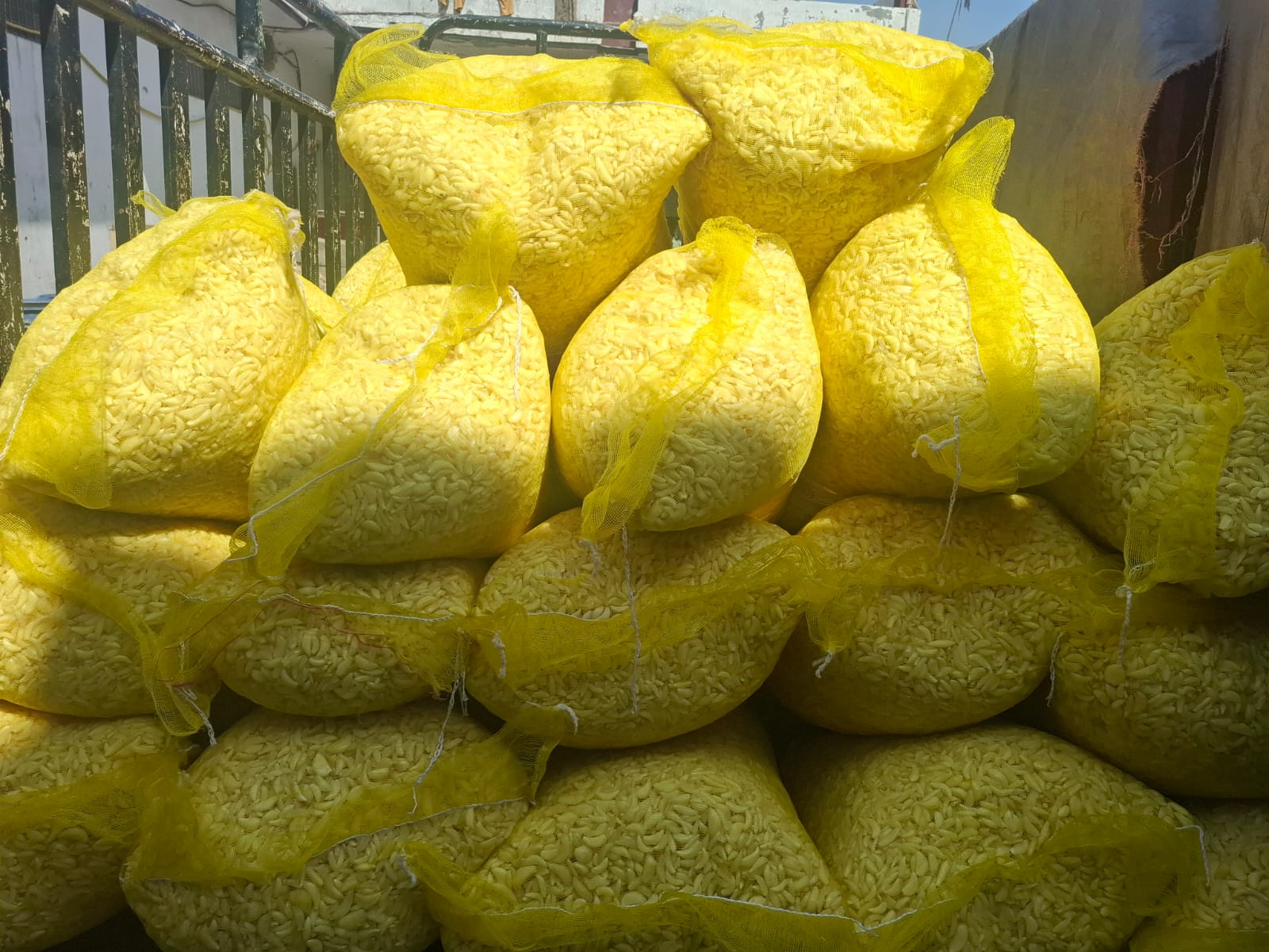 Yellow mesh bags of peeled garlic loaded for delivery