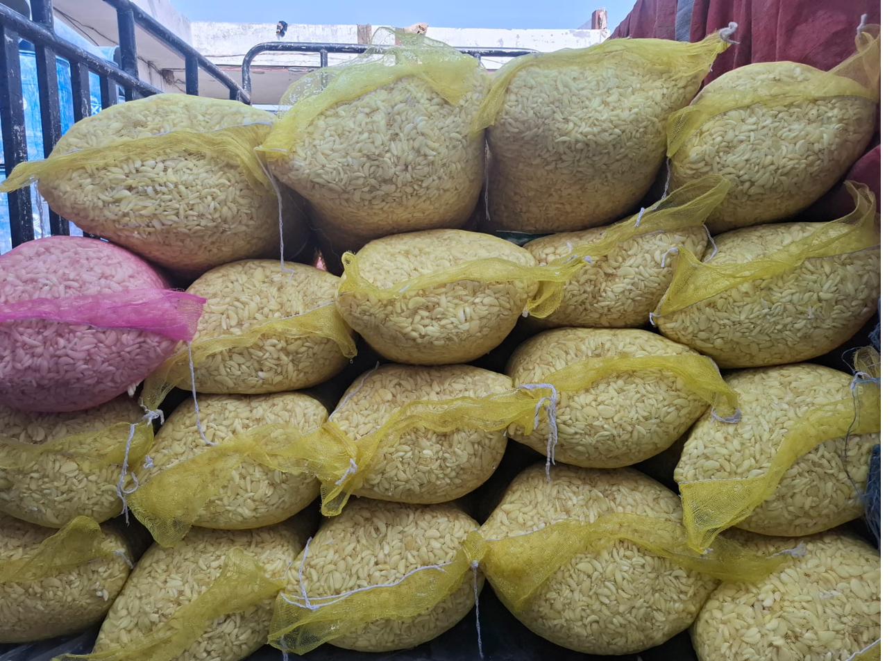 Bulk garlic delivery — Ali Wasim Farm Pakistan