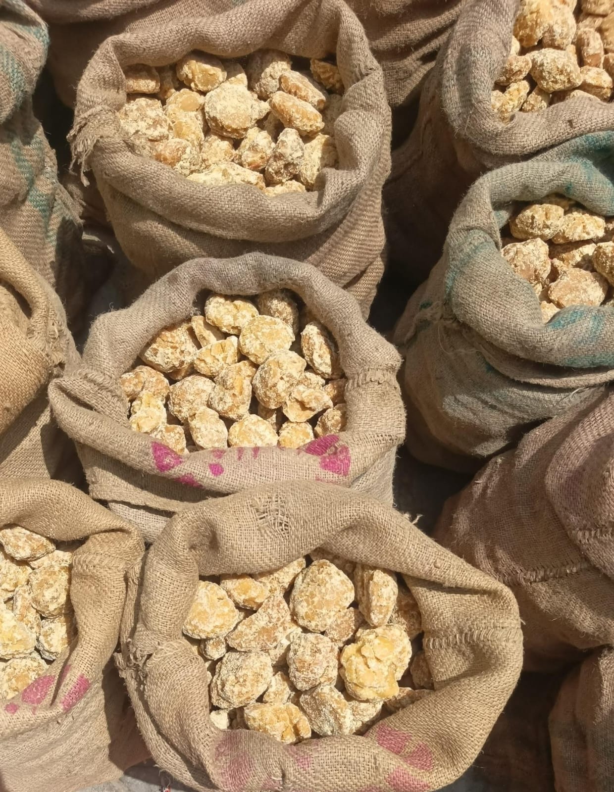 Fresh jaggery in jute sacks — bulk wholesale, Ali Wasim Farm