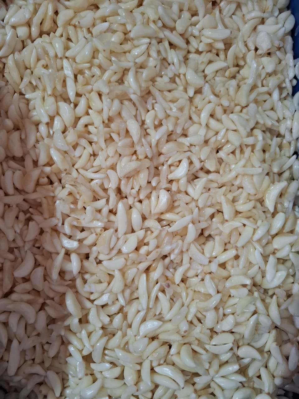 Bulk peeled garlic